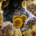 Cacoxenite - Carrière de Birrity - Arbouet-Sussaute - Pyrénées-Atlantiques