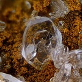 Barite - Carrière de Birrity - Arbouet-Sussaute - Pyrénées-Atlantiques