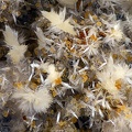 Scholzite Fluorite Hémimorphite - Carrière de Birrity - Arbouet-Sussaute - Pyrénées-Atlantiques