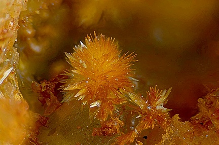 Scholzite - Carrière de Birrity - Arbouet-Sussaute - Pyrénées-Atlantiques