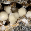 Scholzite Smithsonite - Carrière de Birrity - Arbouet-Sussaute - Pyrénées-Atlantiques