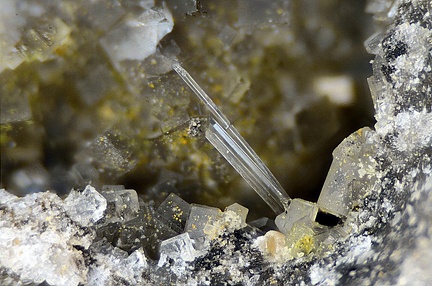 Gypse Fluorite - Carrière de Birrity - Arbouet-Sussaute - Pyrénées-Atlantiques