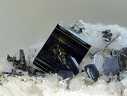 Brookite Anatase - Forêt de Sapey - Jarrier - St Jean de Maurienne - Savoie