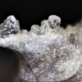 Opale (var. hyalite) - Puy de la Plate - Puy-de-Dôme