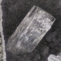  Thomsonite - Vallée de la Papenoo - Tahiti - Polynésie française
