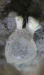  Thomsonite - Vallée de la Papenoo - Tahiti - Polynésie française