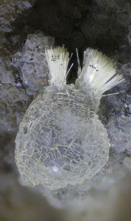  Thomsonite - Vallée de la Papenoo - Tahiti - Polynésie française