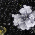  Thomsonite - Vallée de la Papenoo - Tahiti - Polynésie française
