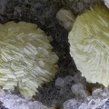  Thomsonite - Vallée de la Papenoo - Tahiti - Polynésie française