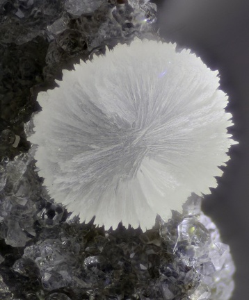 Thomsonite - Vallée de la Papenoo - Tahiti - Polynésie française