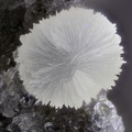 Thomsonite - Vallée de la Papenoo - Tahiti - Polynésie française