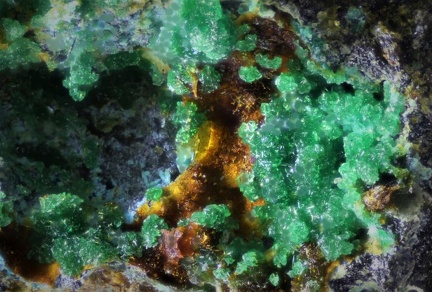 Lauthantalite - Couëron - Nantes - Loire-Atlantique