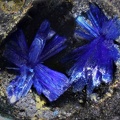  Linarite - Couëron - Nantes - Loire-Atlantique