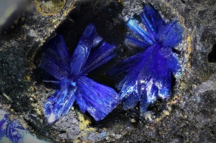  Linarite - Couëron - Nantes - Loire-Atlantique