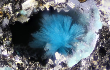 Serpierite - Couëron - Nantes - Loire-Atlantique