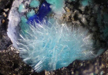Serpierite Linarite - Couëron - Nantes - Loire-Atlantique
