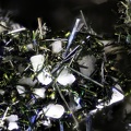  Aegirine - Bras de Cilaos - Cilaos - La Réunion