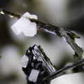  Aegirine Feldspath - Bras de Cilaos - Cilaos - La Réunion