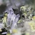 n°103095 - Scorodite Kidwellite - Les Montmins (Mine) - Echassières - Allier
