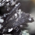 n°103114 - Wolframite - Les Montmins (Mine) - Echassières - Allier