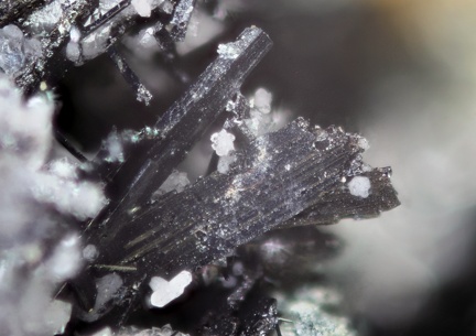n°103114 - Wolframite - Les Montmins (Mine) - Echassières - Allier