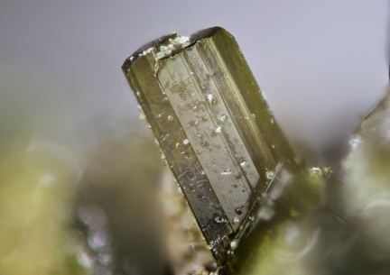 n°173060 - Epidote - La Lauzière - Savoie