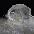  Analcime Thomsonite - Vallée de la Papenoo - Tahiti - Polynésie française