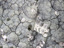 n°115081 - Analcime Chabazite-Ca - Grange de Ganilh - Laveissière - Cantal