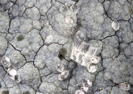 n°115081 - Analcime Chabazite-Ca - Grange de Ganilh - Laveissière - Cantal