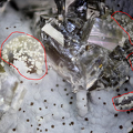 n°115077 bis - Offretite  Chabazite-Ca - Grange de Ganilh - Laveissière - Cantal
