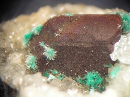 Cérusite Malachite - Monthaut - Palairac - Aude 