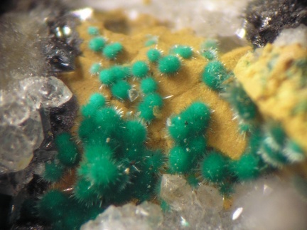 Malachite oxyplumboromeite - Monthaut - Palairac - Aude 