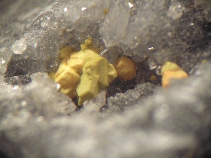 Oxyplumboromeite - Monthaut - Palairac - Aude 