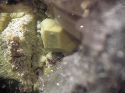 Oxyplumboromeite - Monthaut - Palairac - Aude 