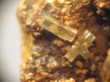 Pyromorphite - Monthaut - Palairac - Aude 