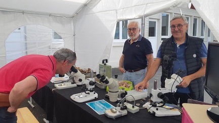 Stand AFM au  festival du musée du "Mange Cailloux"  à Mortagne-sur-Sèvre 