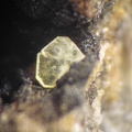 Autunite - Collioure - Massif des Albères - Pyrénées-Orientales
