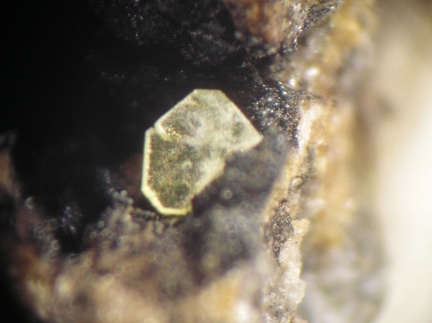 Autunite - Collioure - Massif des Albères - Pyrénées-Orientales