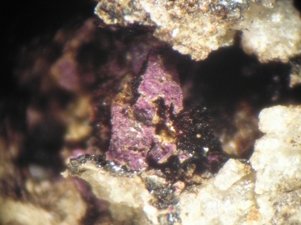 Hétérosite - Collioure - Massif des Albères - Pyrénées-Orientales