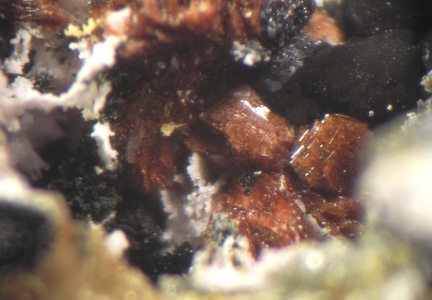 Hureaulite - Collioure - Massif des Albères - Pyrénées-Orientales