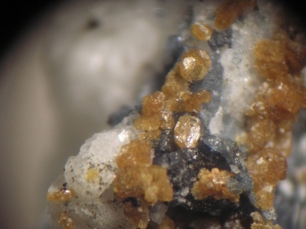 Jahnsite - Collioure - Massif des Albères - Pyrénées-Orientales