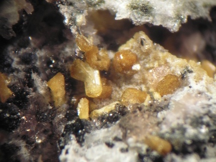 Jahnsite - Collioure - Massif des Albères - Pyrénées-Orientales