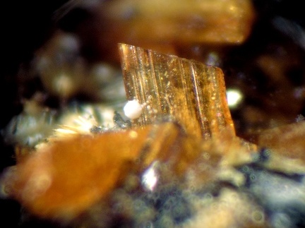 Laueite - Collioure - Massif des Albères - Pyrénées-Orientales
