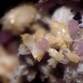 Mangangordonite Variscite - Collioure - Massif des Albères - Pyrénées-Orientales