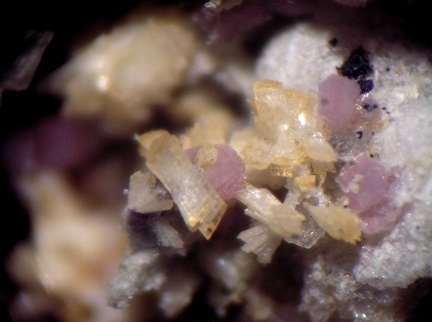 Mangangordonite Variscite - Collioure - Massif des Albères - Pyrénées-Orientales