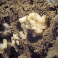 Paravauxite - Collioure - Massif des Albères - Pyrénées-Orientales