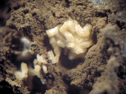 Paravauxite - Collioure - Massif des Albères - Pyrénées-Orientales
