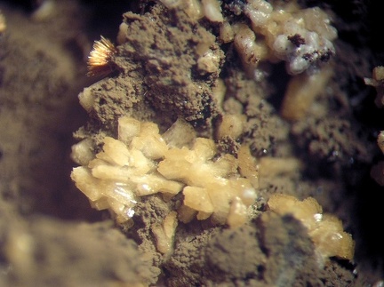 Paravauxite - Collioure - Massif des Albères - Pyrénées-Orientales