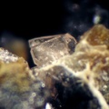 Phosphosidérite - Collioure - Massif des Albères - Pyrénées-Orientales