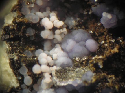 Strengite - Collioure - Massif des Albères - Pyrénées-Orientales